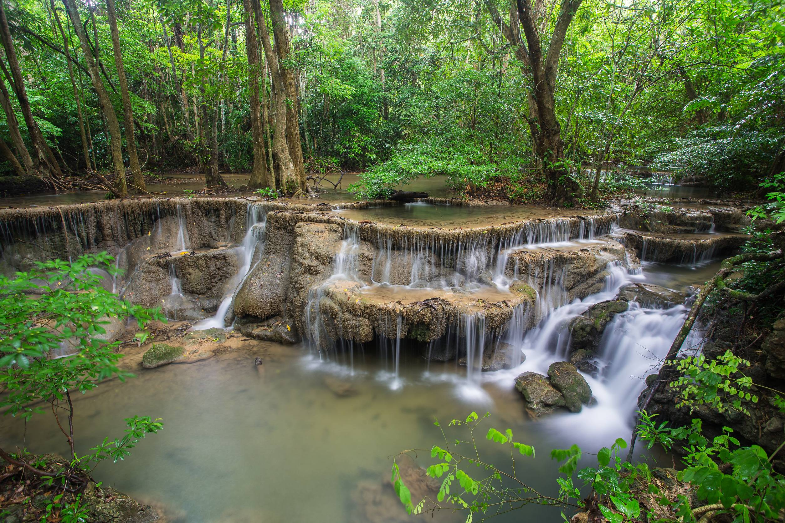 Les Plus Beaux Parcs Nationaux De Thaïlande Une Immersion En Pleine